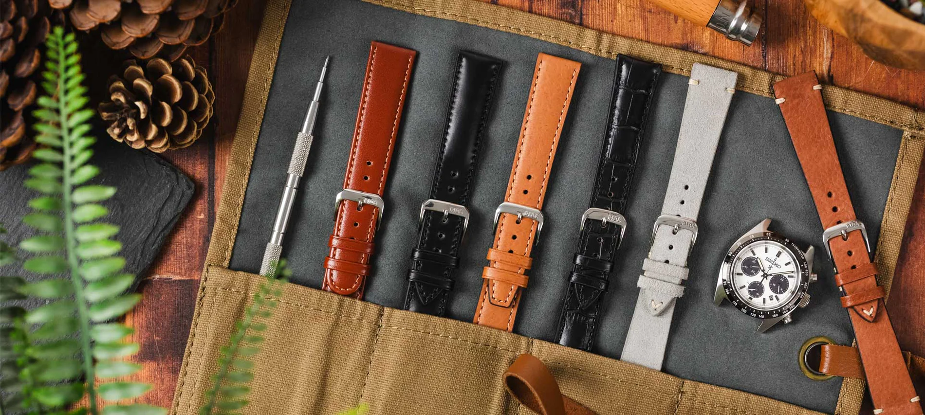 Elevate Your Wrist Game Today